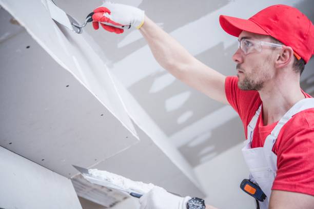 Best Crawl Space Mold Remediation  in Westlake Vlage, IL
